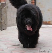 Превью фото № 183716