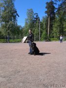 Превью фото № 183718