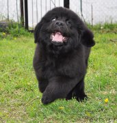 Превью фото № 183740