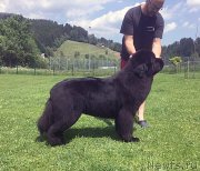 Превью фото № 183753