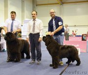 Превью фото № 183755