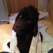 Превью фото № 183808