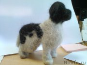 Превью фото № 183824