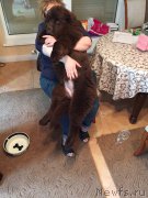 Превью фото № 183825