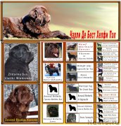 Превью фото № 183826