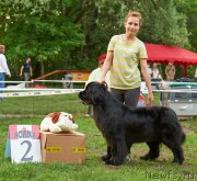 Превью фото № 183829