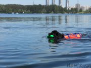 Превью фото № 183837