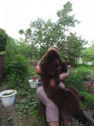 Превью фото № 183841