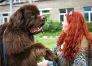 Превью фото № 183872