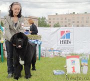 Превью фото № 184084