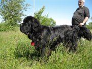 Превью фото № 184092