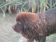 Превью фото № 184119