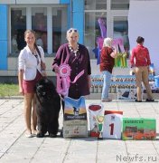 Превью фото № 184194