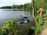 Превью фото № 184196