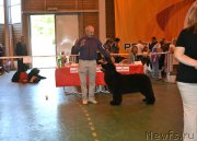 Превью фото № 184207