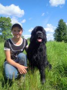 Превью фото № 184208