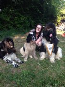 Превью фото № 184281