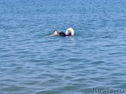 Превью фото № 184283