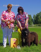 Превью фото № 184286