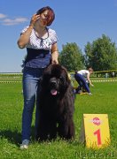 Превью фото № 184288