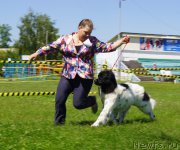 Превью фото № 184289