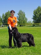 Превью фото № 184292