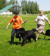 Превью фото № 184293