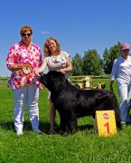 Превью фото № 184308