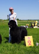 Превью фото № 184310