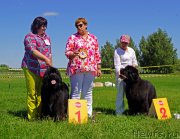 Превью фото № 184320