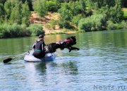 Превью фото № 184348