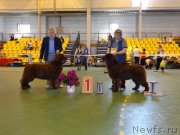 Превью фото № 184355