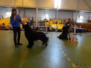 Превью фото № 184359