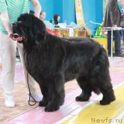 Превью фото № 184376