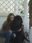 Превью фото № 184393