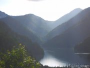 Превью фото № 184404