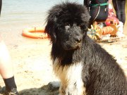 Превью фото № 184418