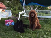 Превью фото № 184444