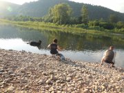 Превью фото № 184524