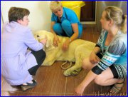 Превью фото № 184599