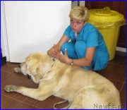 Превью фото № 184600