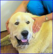 Превью фото № 184604