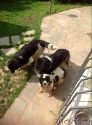 Превью фото № 184607