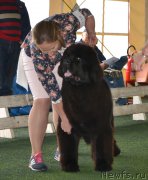 Превью фото № 184695