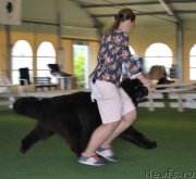 Превью фото № 184697