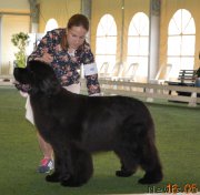 Превью фото № 184703