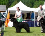 Превью фото № 184707