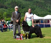 Превью фото № 184708