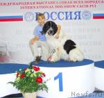 Превью фото № 18471