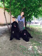 Превью фото № 184748